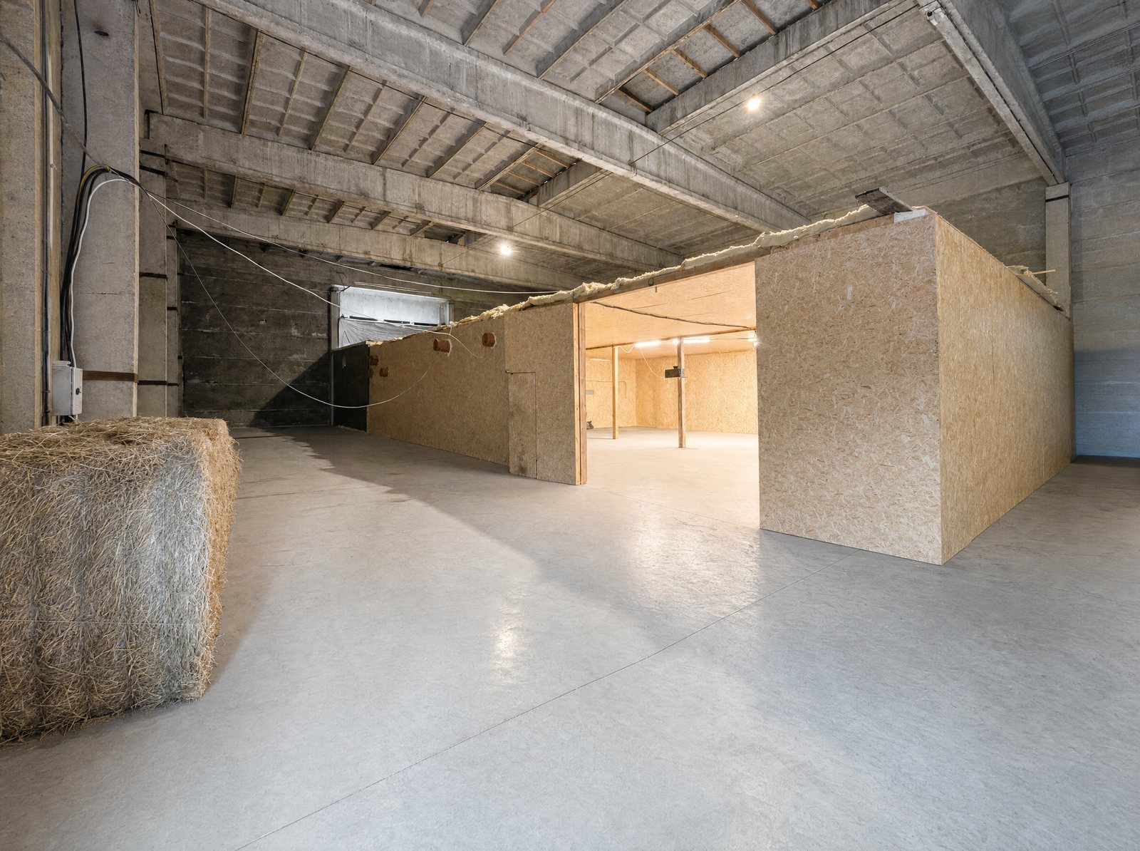 Hall 2 – photo 12