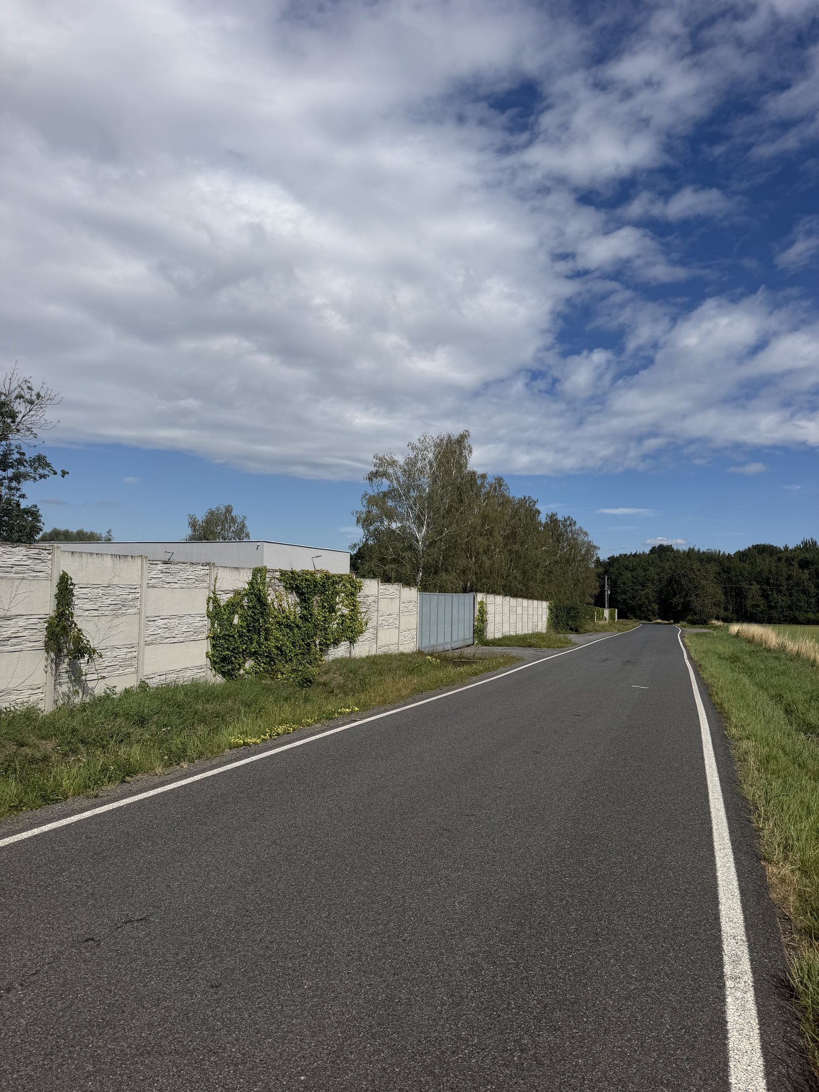 Access Road – photo 2
