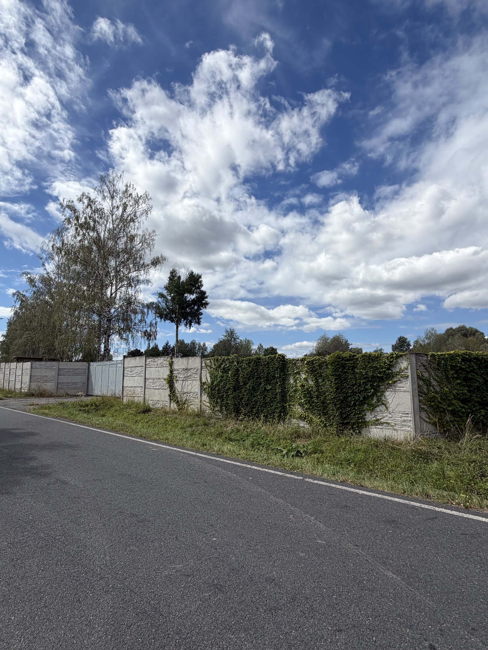 Access Road – photo 4